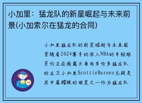 小加里：猛龙队的新星崛起与未来前景(小加索尔在猛龙的合同)