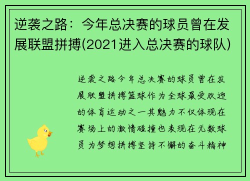 逆袭之路：今年总决赛的球员曾在发展联盟拼搏(2021进入总决赛的球队)