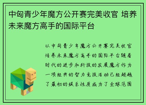 中匈青少年魔方公开赛完美收官 培养未来魔方高手的国际平台