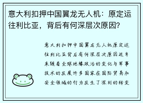 意大利扣押中国翼龙无人机：原定运往利比亚，背后有何深层次原因？