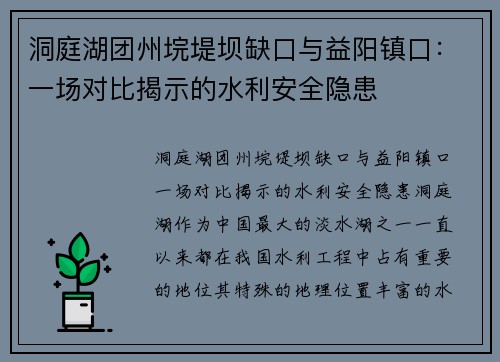 洞庭湖团州垸堤坝缺口与益阳镇口：一场对比揭示的水利安全隐患