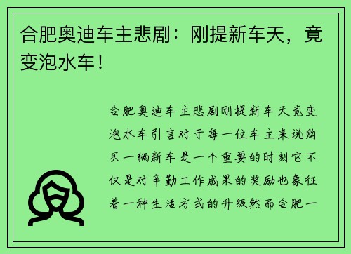 合肥奥迪车主悲剧：刚提新车天，竟变泡水车！